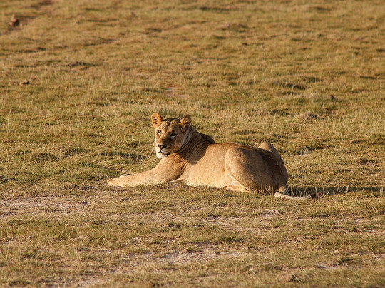Totti Kenya-安博塞利国家公园必去景点