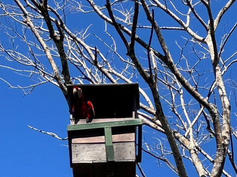 Reserva Curu-彭塔雷纳斯必去景点