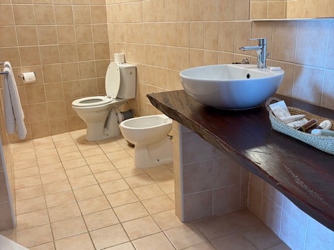 Chauve Souris Relais主图