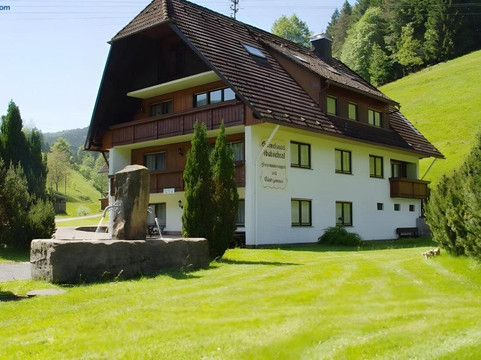 Bad Rippoldsau酒店住宿-Gastehaus Absbachtal