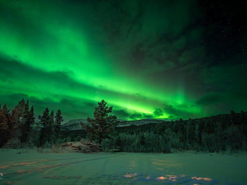 Blue Puffin-霍宁斯沃格必去景点