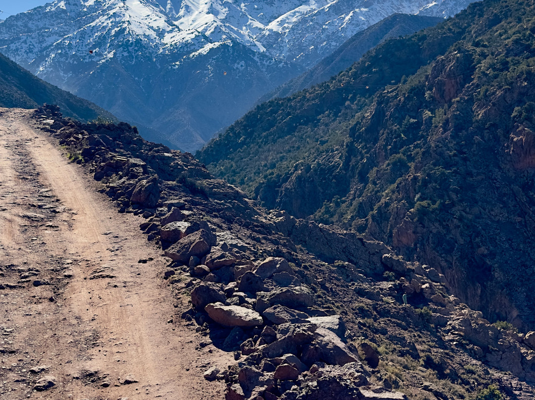 Berber Travel Experience-马拉喀什必去景点