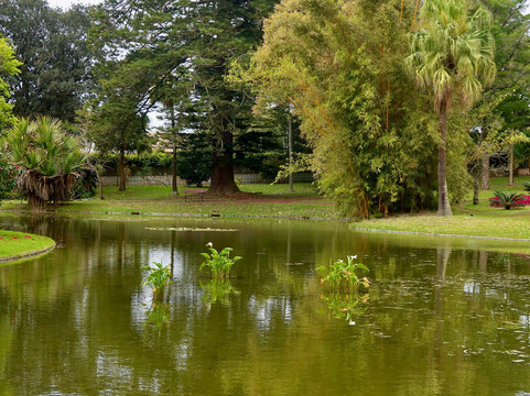 Palais Sant'Ana plutot que Palacios da Presidencia-蓬塔德尔加达必去景点