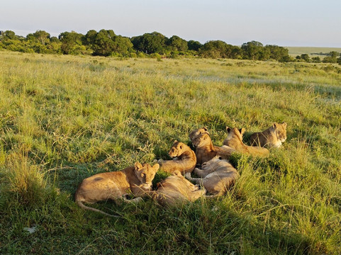 Destinex Travels-内罗毕必去景点