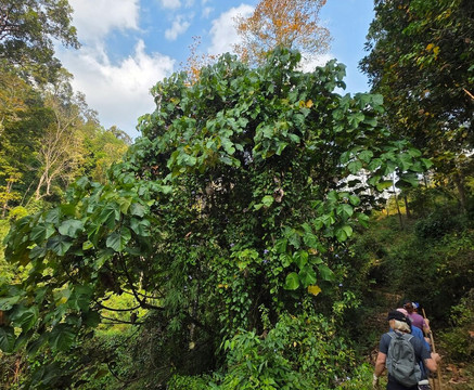 Tubing Chiang Mai-Kuet Chang必去景点