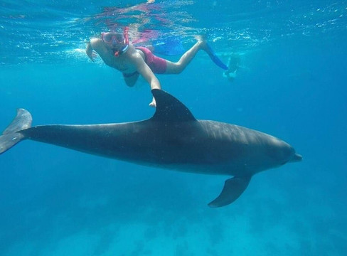 Nabq Tours Hurghada-赫尔格达必去景点