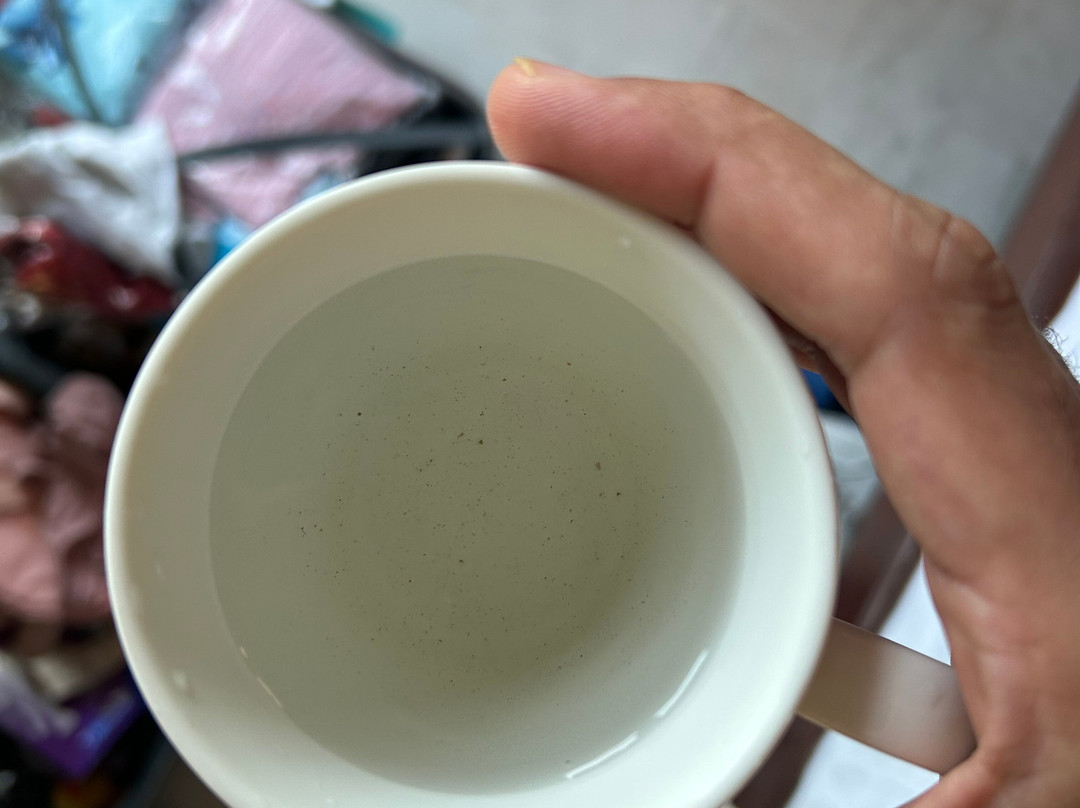 克拉克斯异域岛屿之家, 布莱尔港主图
