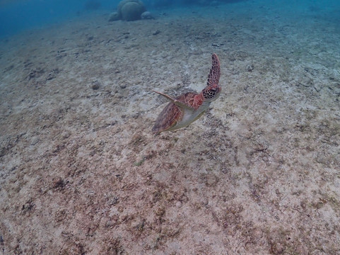 Shigira Beach-宫古岛市必去景点