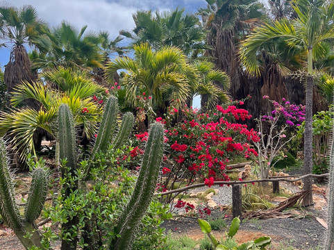 Viveiro, Botanical Garden & Zoo di Terra-圣塔玛丽亚必去景点