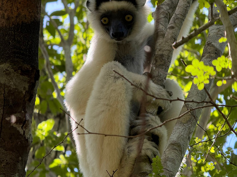 Soul of Madagascar Tours-Toamasina (Tamatave)必去景点