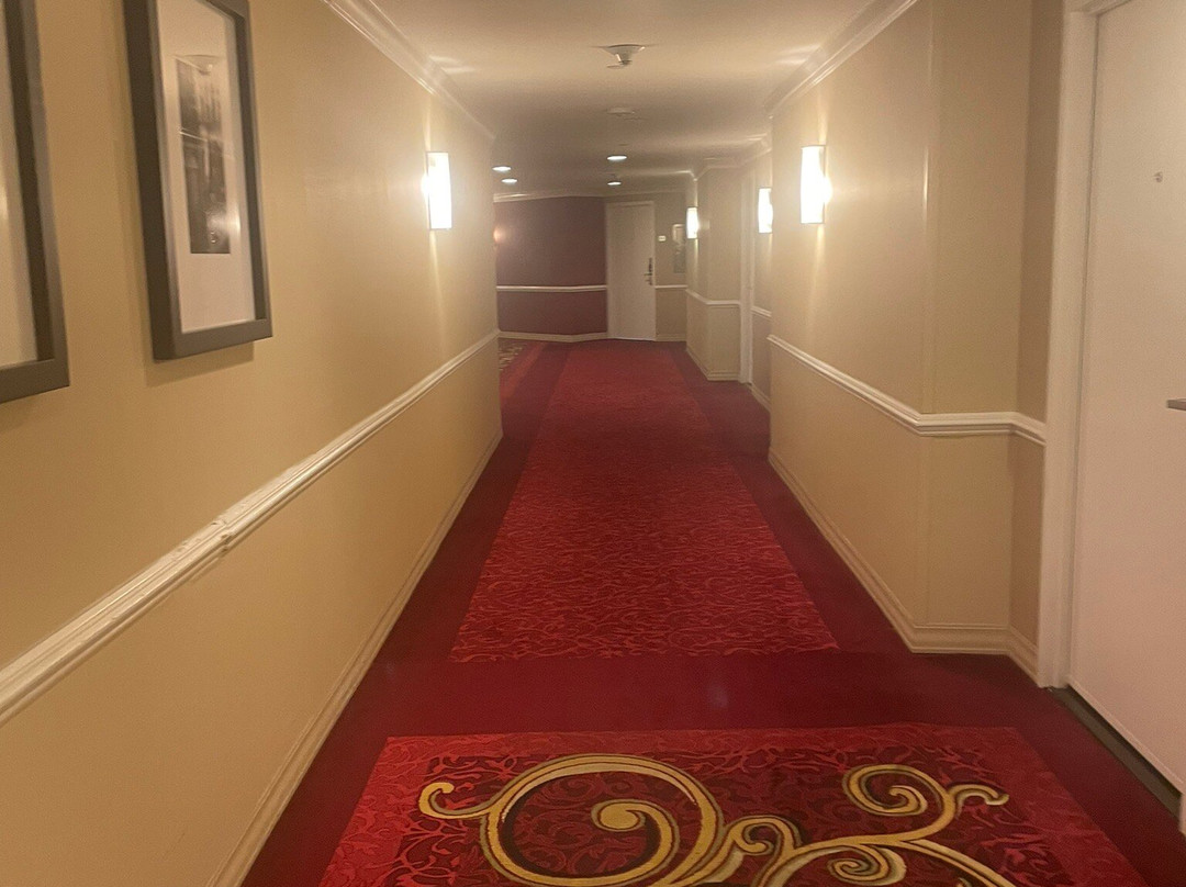 新奥尔良梅泰里莱克威万豪酒店主图