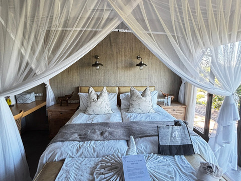 African Safari Group-开普敦必去景点