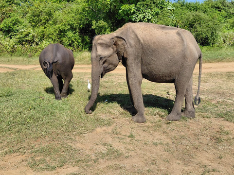 Prem Tours Sri Lanka-尼甘布必去景点