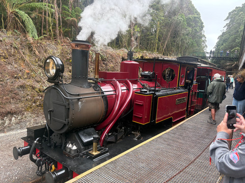West Coast Wilderness Railway-皇后镇必去景点