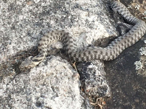 Lake Siloamskaya Kupalnya-Shayan必去景点