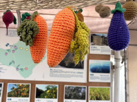 Teshima Ieura Ferry Port-土庄町必去景点