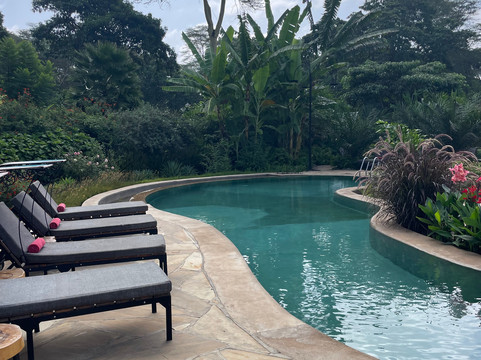 Ajabu Adventures Ltd - Day Tours-阿鲁沙必去景点