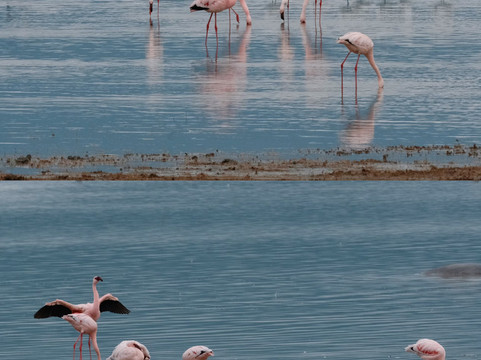 Meijo Safaris-阿鲁沙区必去景点