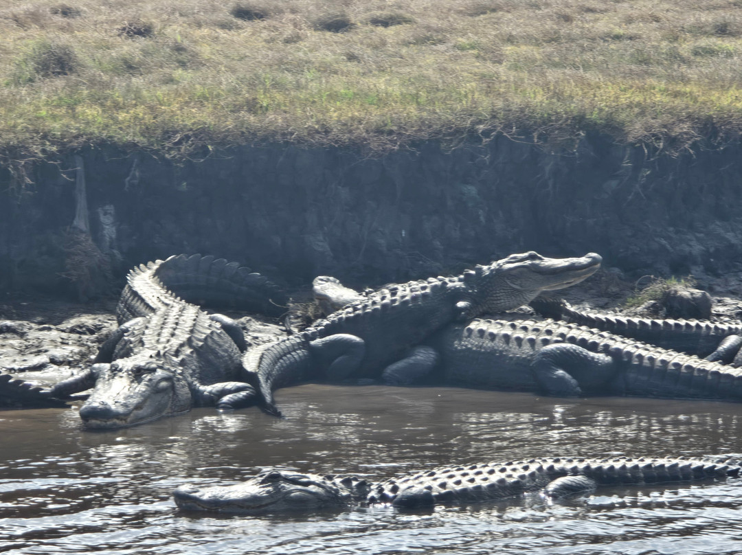 AirBoat Rides at Midway-Christmas必去景点
