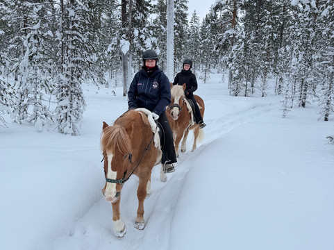 Polaris Point Horses-撒利塞卡必去景点