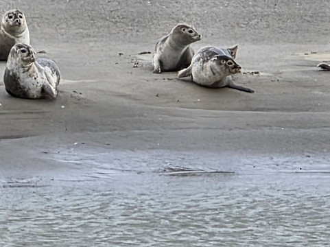 Club Nautique Berckois-Berck必去景点