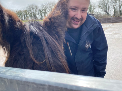 The Donkey Sanctuary-西德茅斯必去景点