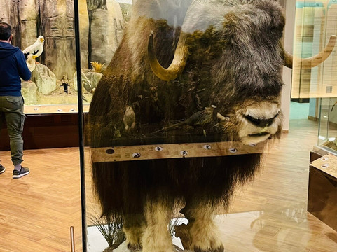 Natural History Museum of Meteora & Mushroom Museum-卡兰巴卡必去景点