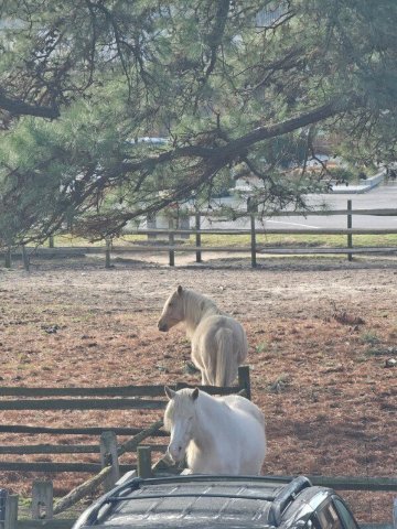保护区酒店-浴室