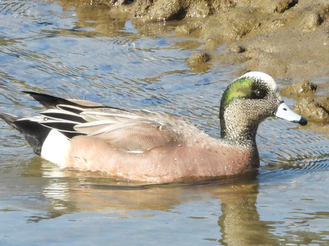 尼斯阔利国家野生动物保护区-奥林匹亚必去景点
