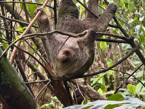 La Tierra Del Encanto-Isla Bastimentos必去景点