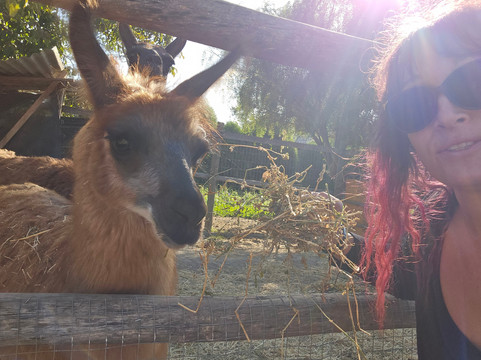 Campo La Quirinca-Isla de Maipo必去景点