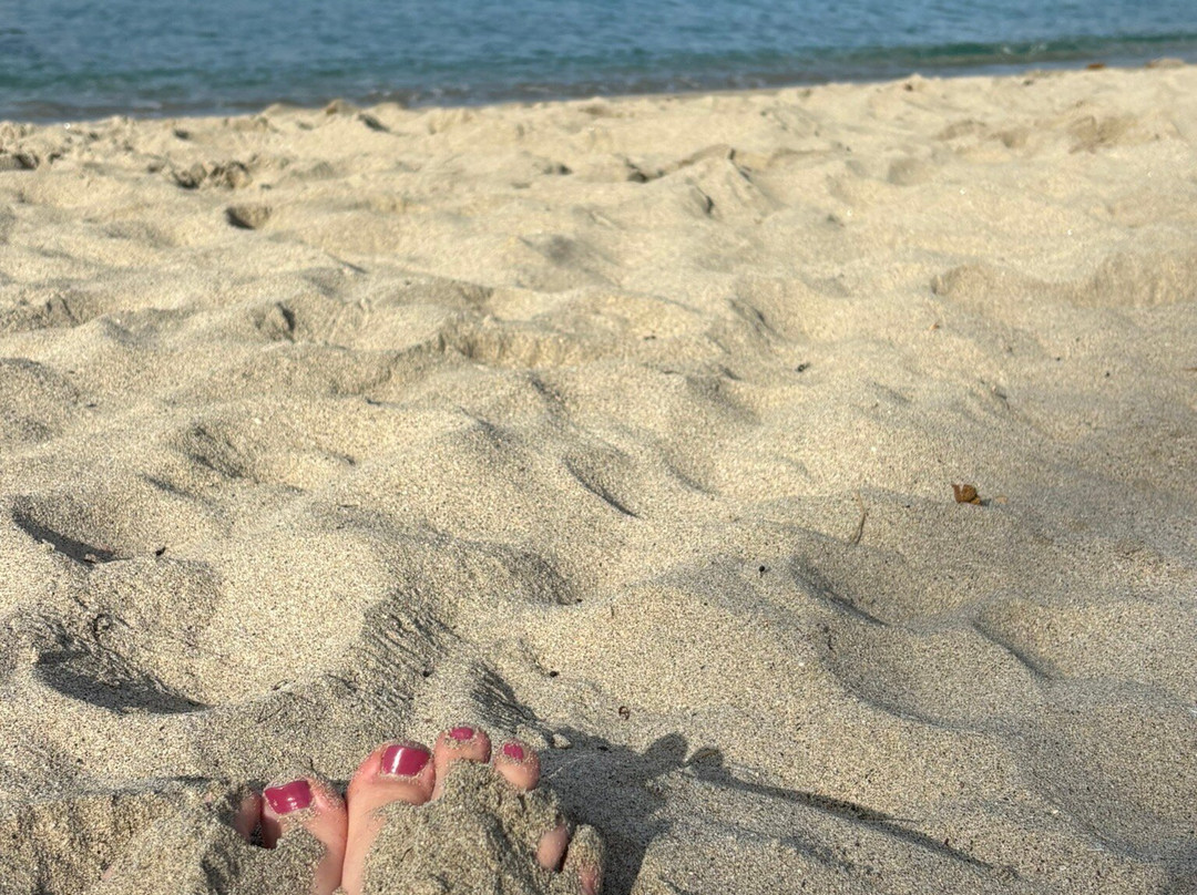 Grand Anse d'Arlet-Les Anses d'Arlet必去景点