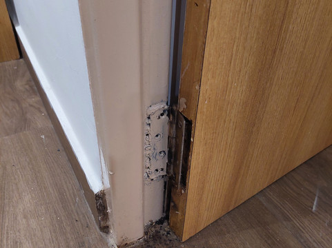 Hotel the Bundela - Khajuraho Madhya Pradesh主图