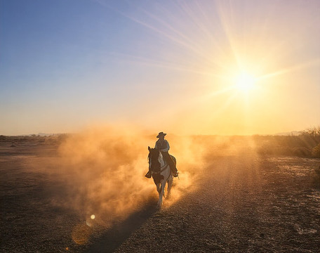 KOLI Equestrian Center-钱德勒必去景点