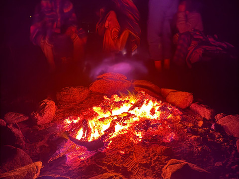 Magdalena Bay Whales-Puerto San Carlos必去景点