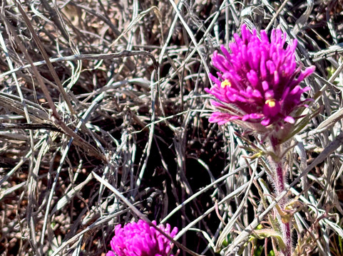 Vortex Yoga Hiking In Sedona-塞多纳必去景点