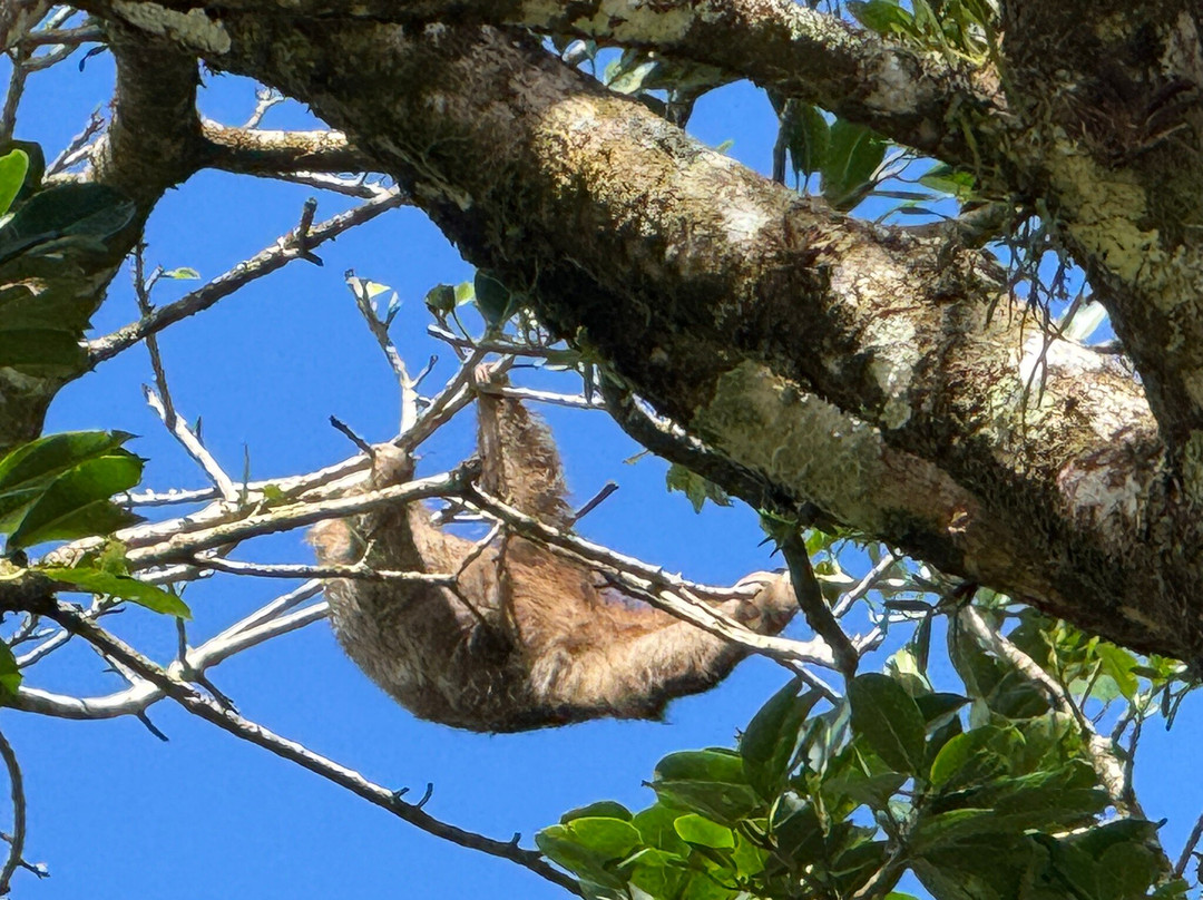 Goolonukos-塔马林多必去景点