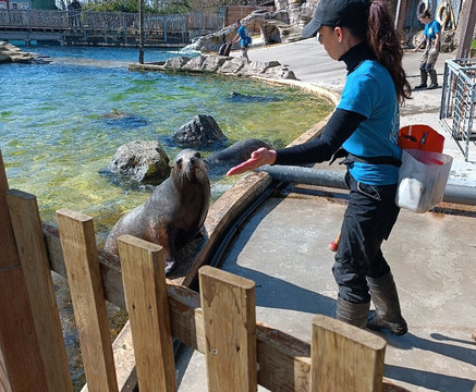 Safari De Peaugres-Peaugres必去景点