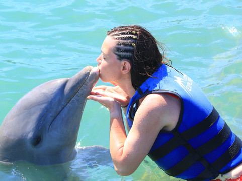 Dolphin Explorer-蓬塔卡纳必去景点