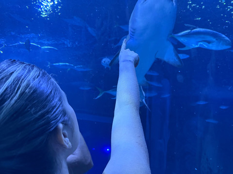 AquaRio-里约热内卢必去景点