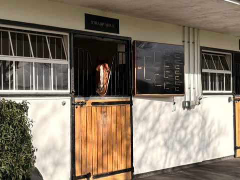 Discover Newmarket Tours-纽马克特必去景点