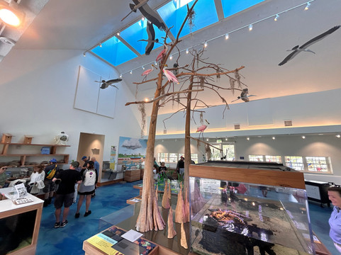 Orlando Wetlands-Christmas必去景点