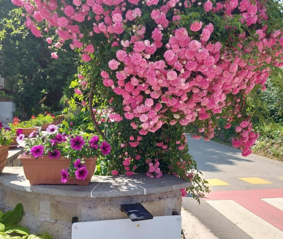Casa Vacanze Il Mandolino Tra Orvieto E Bolsena