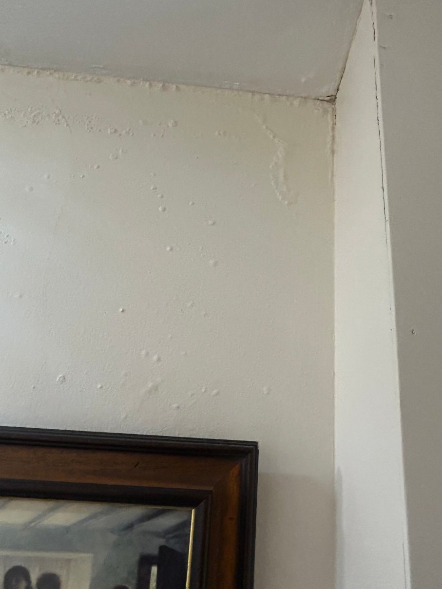 曼斯菲尔德松林旅馆及餐厅-官方