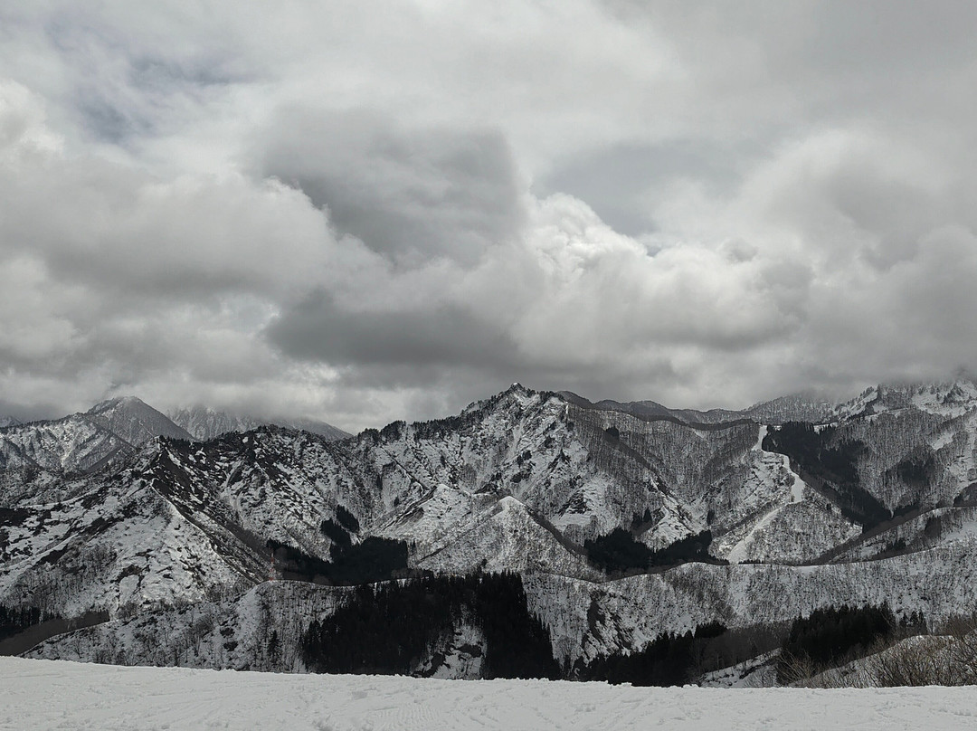 Naspa Ski Garden-汤泽町必去景点