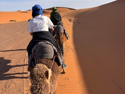 Tours in Marrakech-马拉喀什必去景点