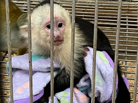 Safari Zoological Park-Caney必去景点