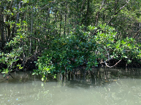 Tung Prong Thong-Ban Pak Nam Krasae必去景点