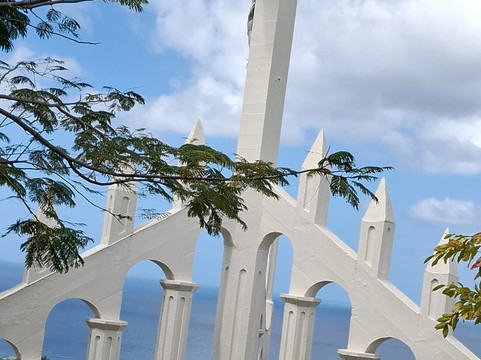 Dominica Botanic Gardens-罗索必去景点
