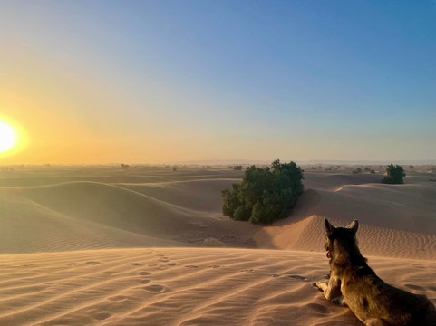 Chegaga spirit-迈哈米德必去景点